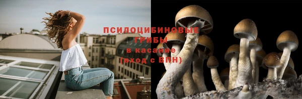 спайс Козловка