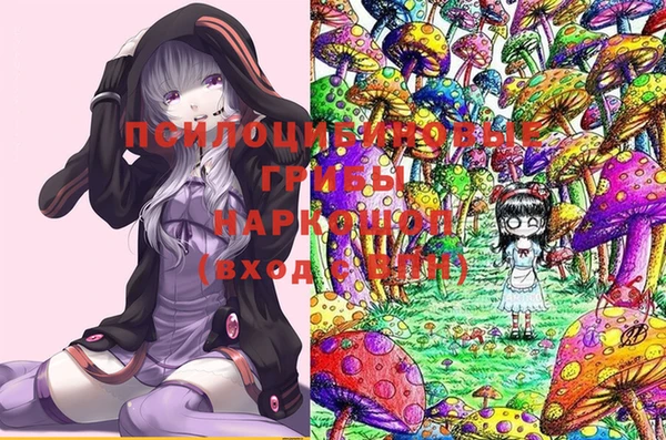 молекула духа Корсаков