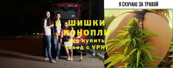 спайс Козловка