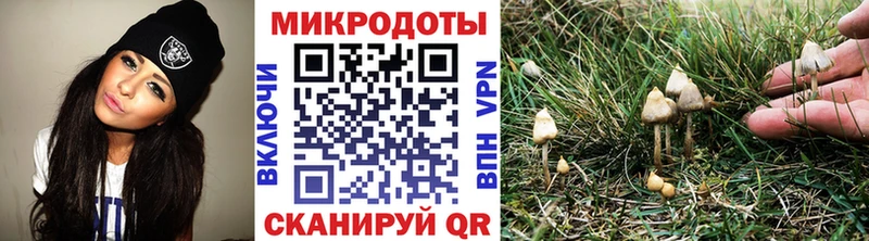 Купить  Пошехонье  Псилоцибиновые грибы MAGIC MUSHROOMS 