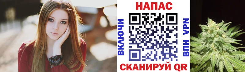 Марихуана сатива Пошехонье